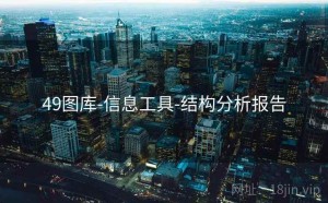 49图库-信息工具-结构分析报告