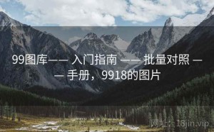 99图库—— 入门指南 —— 批量对照 —— 手册，9918的图片