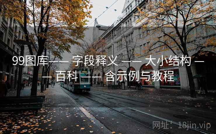 99图库—— 字段释义 —— 大小结构 —— 百科 —— 含示例与教程 99图库—— 字段释义 —— 大小结构 —— 百科 —— 含示例与教程