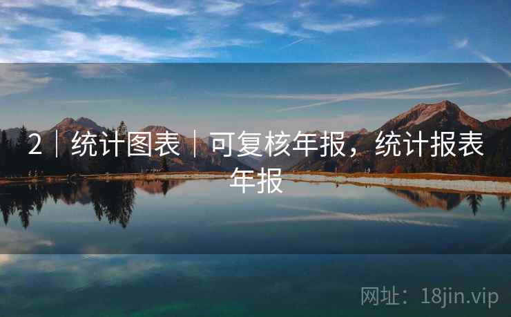 2｜统计图表｜可复核年报，统计报表年报