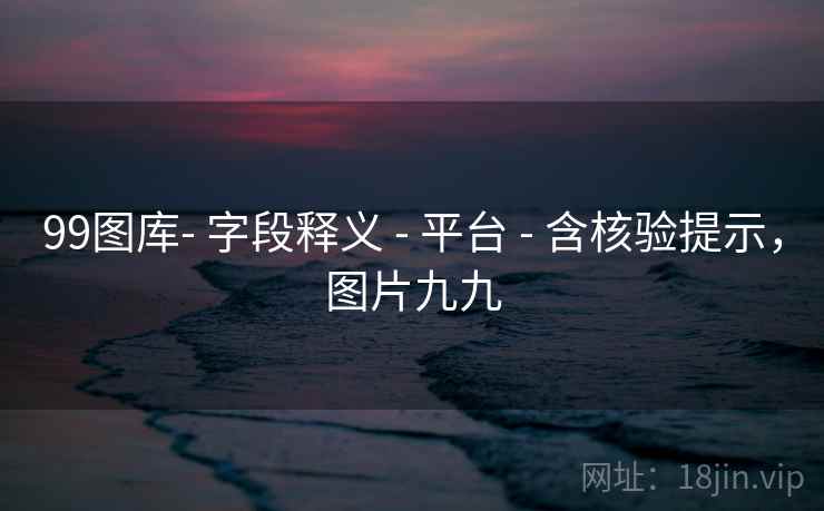 99图库- 字段释义 - 平台 - 含核验提示，图片九九